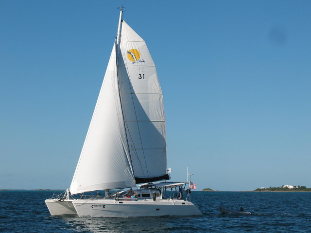 Used Sail Catamaran for Sale 2000 St. Francis 44 Mark II 